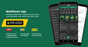 Experience Unmatched Gaming at BetWinner Casino